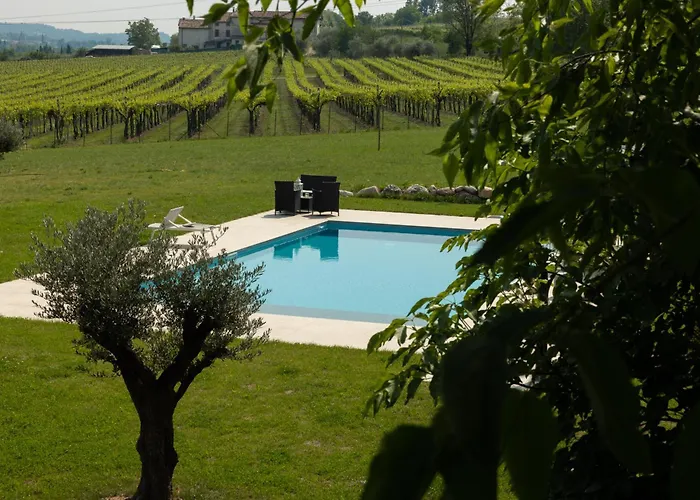 Bed And Breakfast Le Giale Castelnuovo del Garda photo
